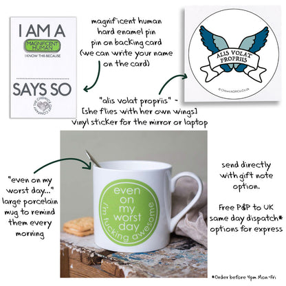 You Got This - Fucking Awesome - Positive Affirmation Gift Set