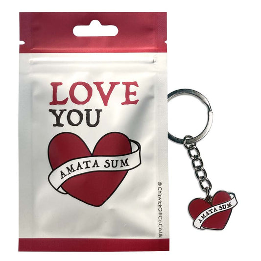 You Are Loved Latin Motto Keyring
