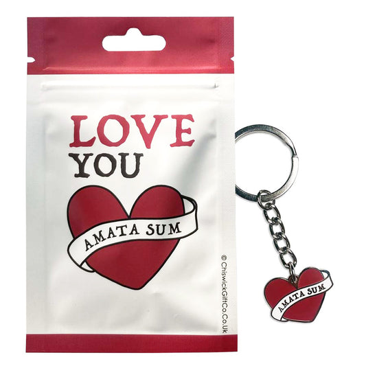 You Are Loved Latin Motto Keyring