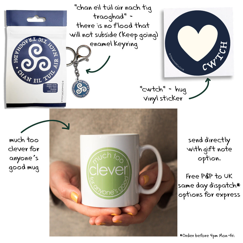Exam Bundle - Much Too Clever