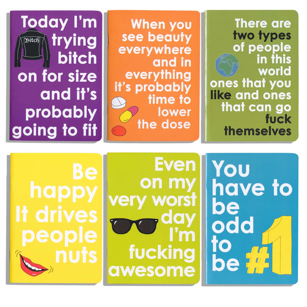 Set of 6 Funny Mini Notebooks – The Chiswick Gift Company